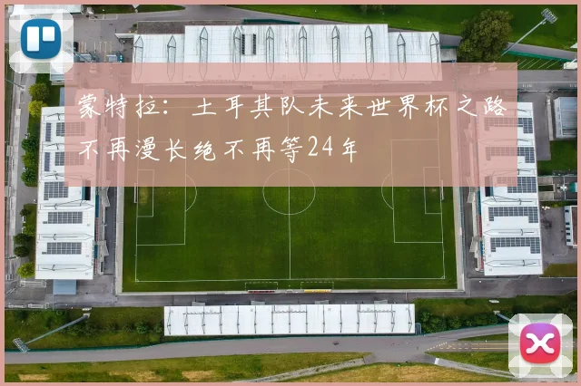 蒙特拉：土耳其队未来世界杯之路不再漫长绝不再等24年